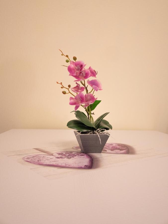Camelia House Apartman Bellano Kültér fotó